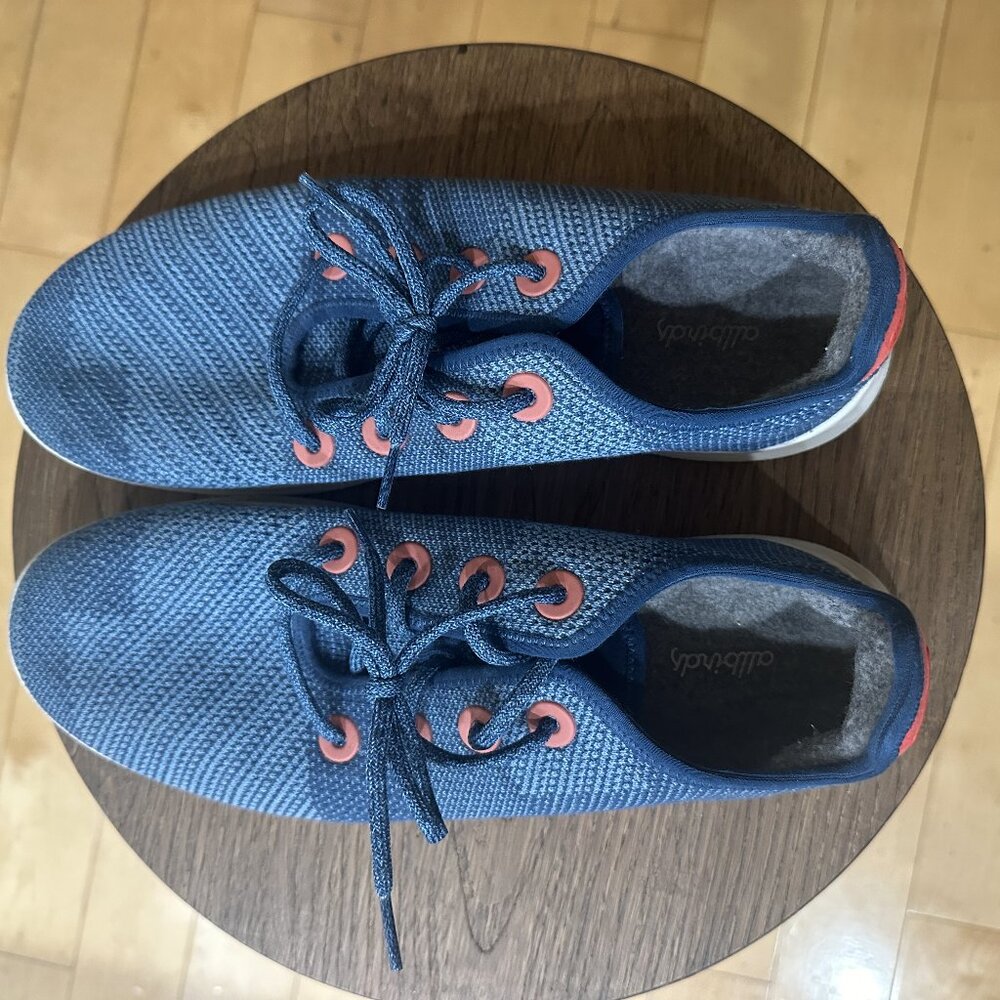 Allbirds Tree Runner the MET 150 limited edition